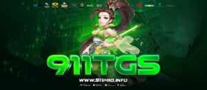 911TGS